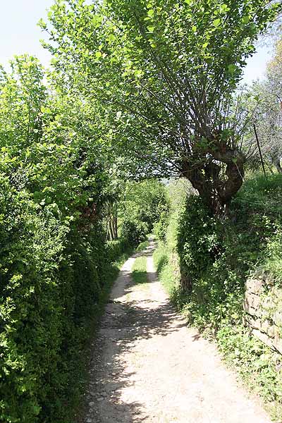 Vecchia strada comunale per Varallo